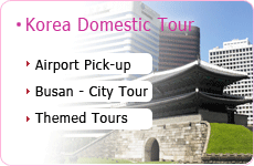 korea domestic tour
